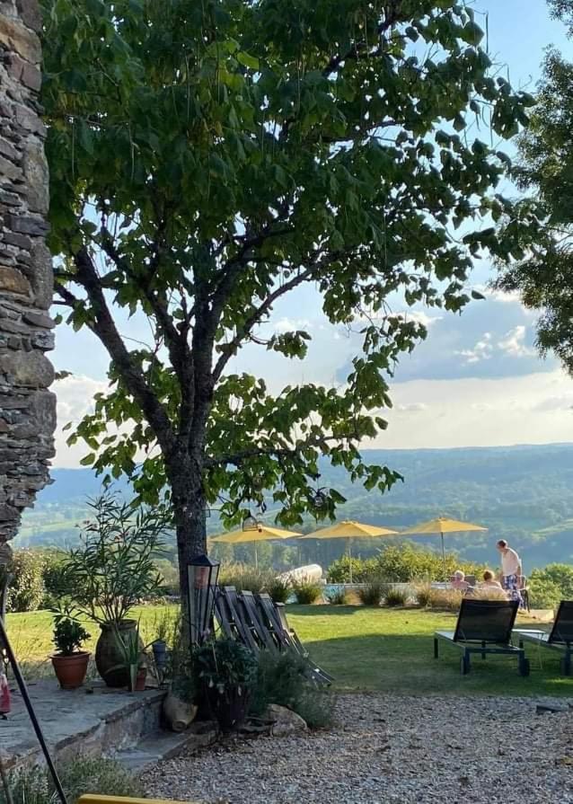 La Maison Bleue Juillac  Kültér fotó